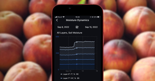 Modern orchards intensive growing and soil moisture