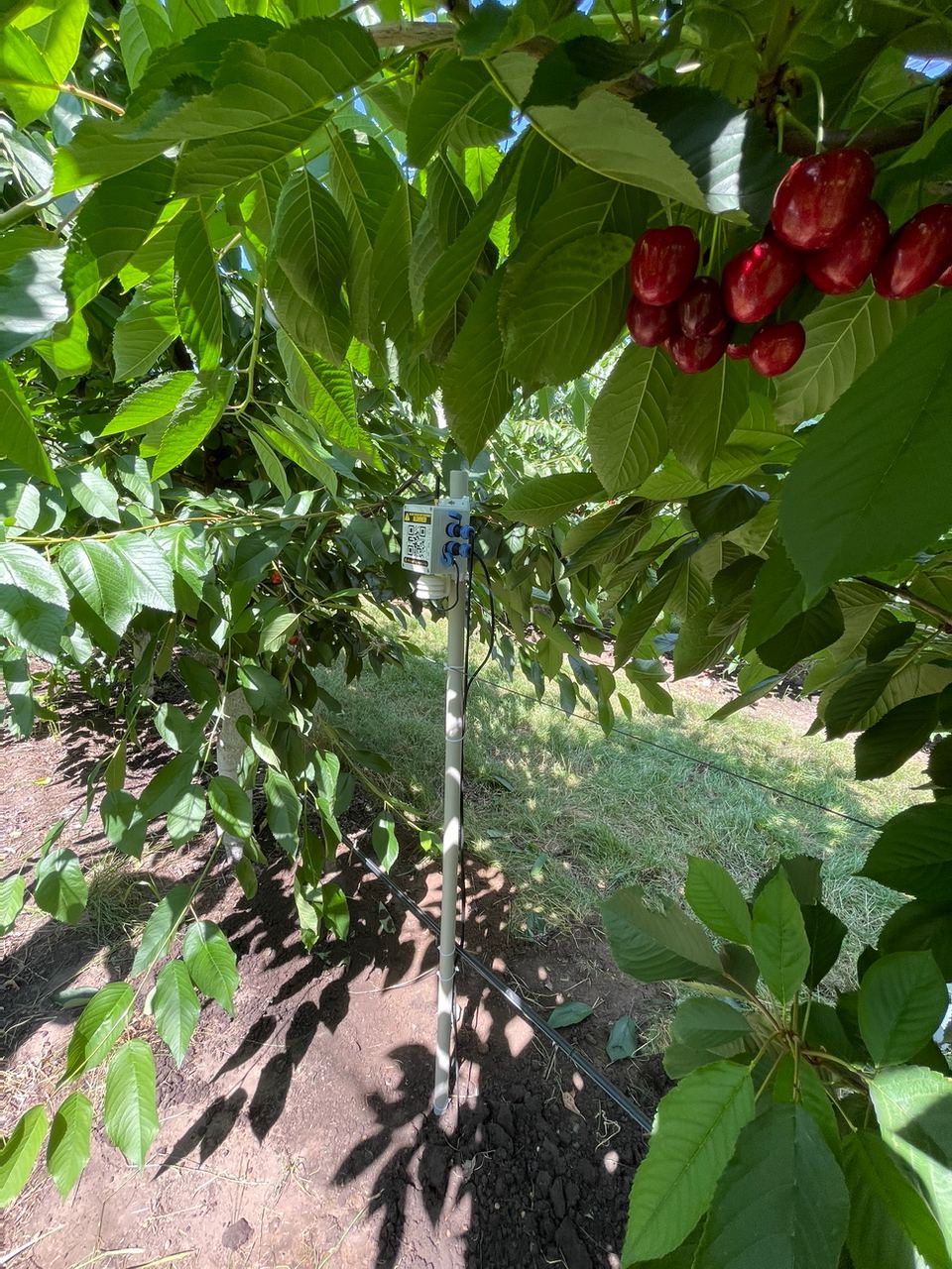 Droppity Agro Field Sensor + 1 Year subscription