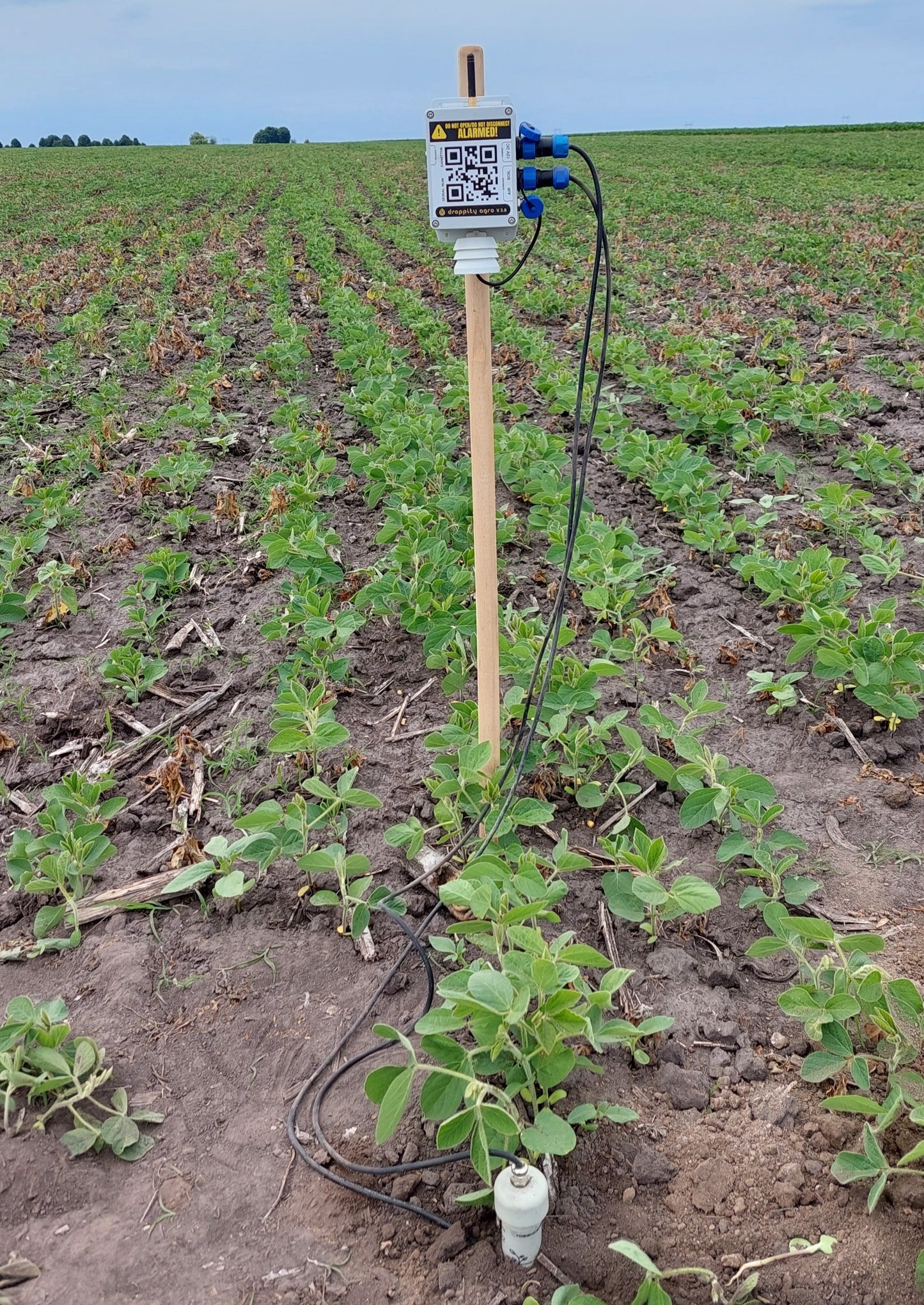 Droppity Agro Field Sensor + 1 Year subscription